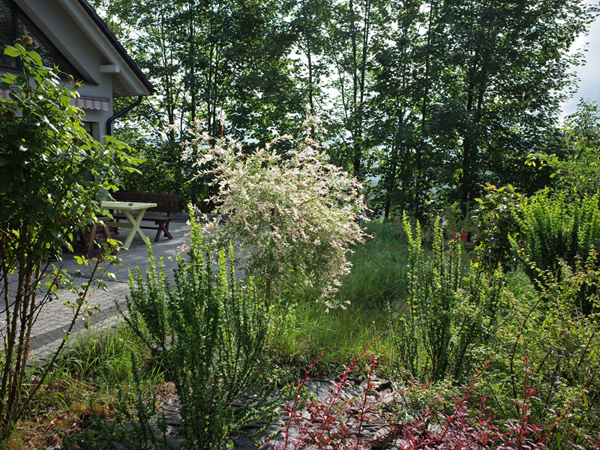 624 :: Garden
